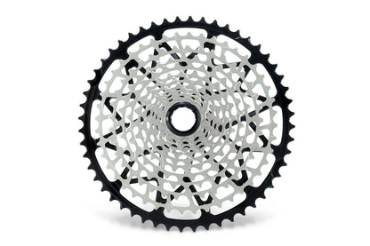 12-speed cassette (Shimano Micro Spline freehub)